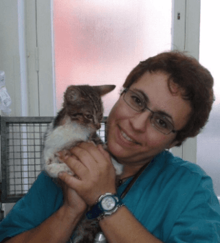veterinaria in camice verde con un gattino sulla spalla